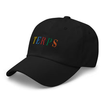 Load image into Gallery viewer, TERPS hat