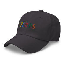 Load image into Gallery viewer, TERPS hat