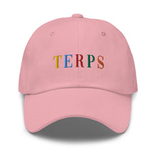 Load image into Gallery viewer, TERPS hat