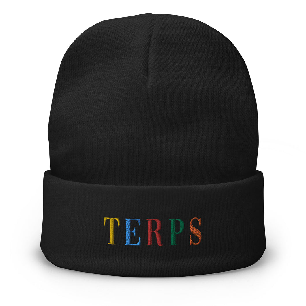 TERPS Embroidered Beanie